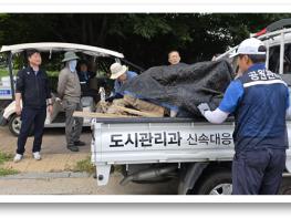 파주시, 공원관리 민원 신속 대응 시민약속이행  공원 가치를 높이는 시민들의 머슴 이법주 팀장 기사 이미지